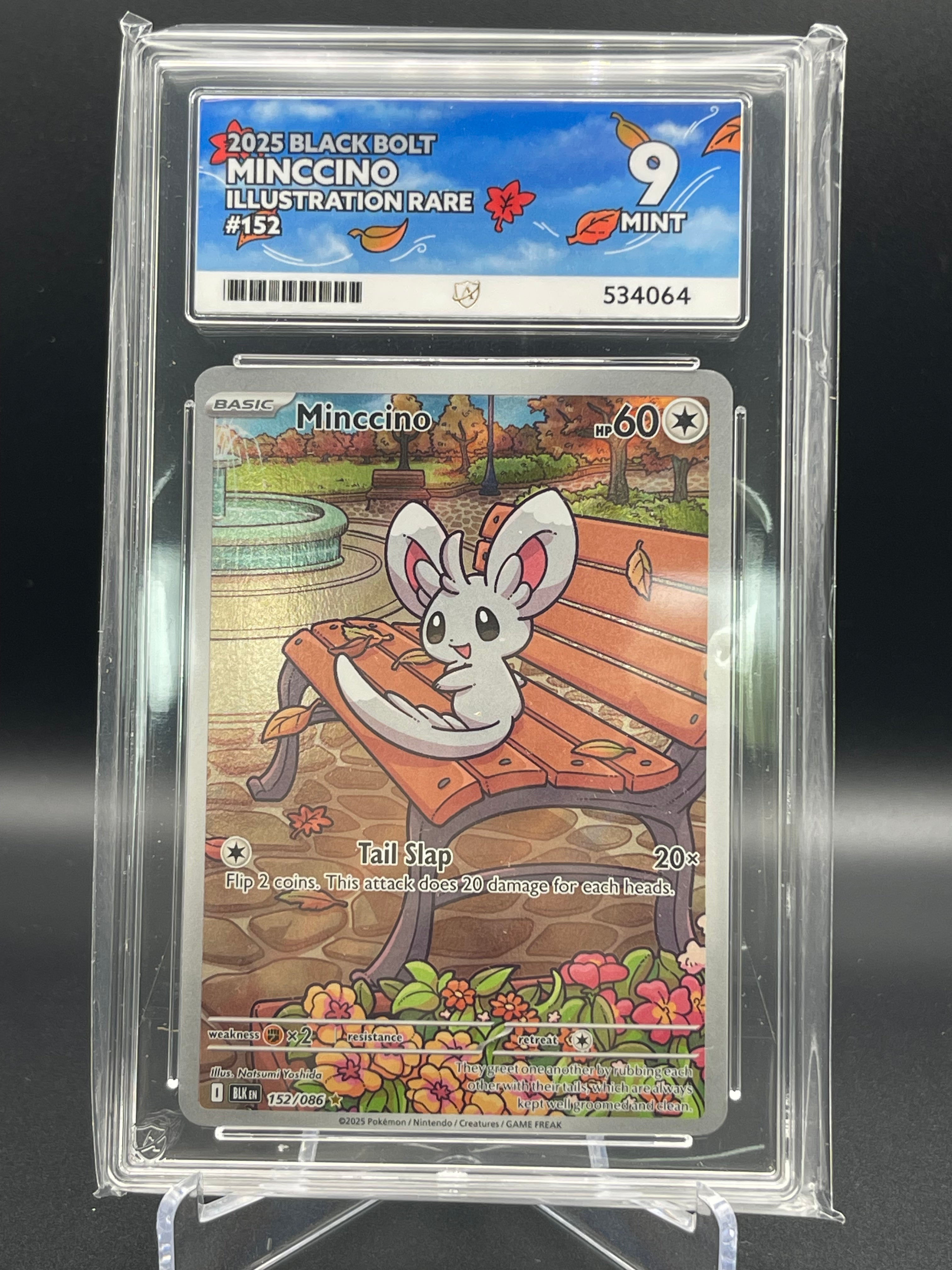 ACE Graded 9 Mint Minccino 152/086