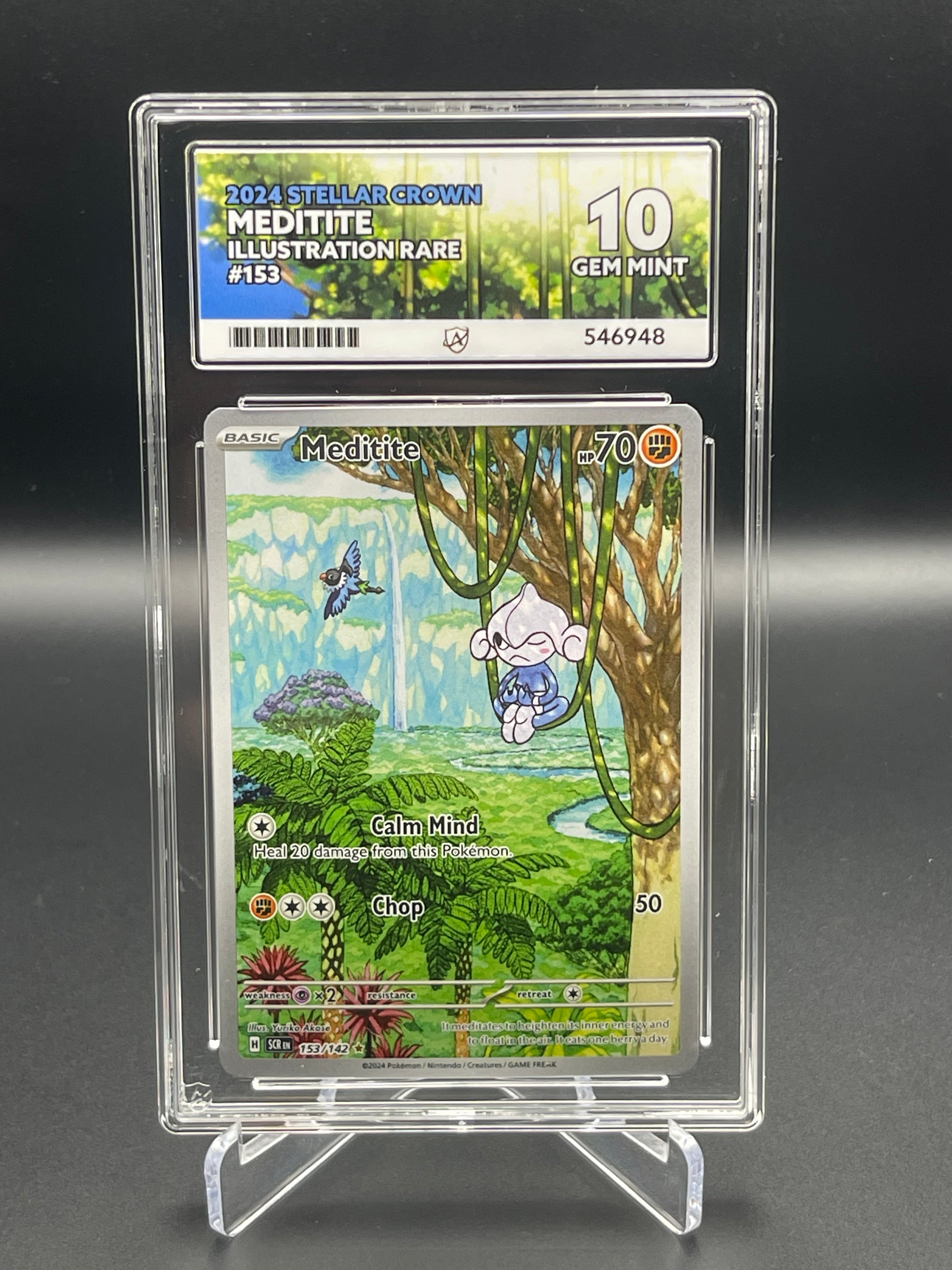ACE GRADED 10 GEM MINT Meditite 153/142
