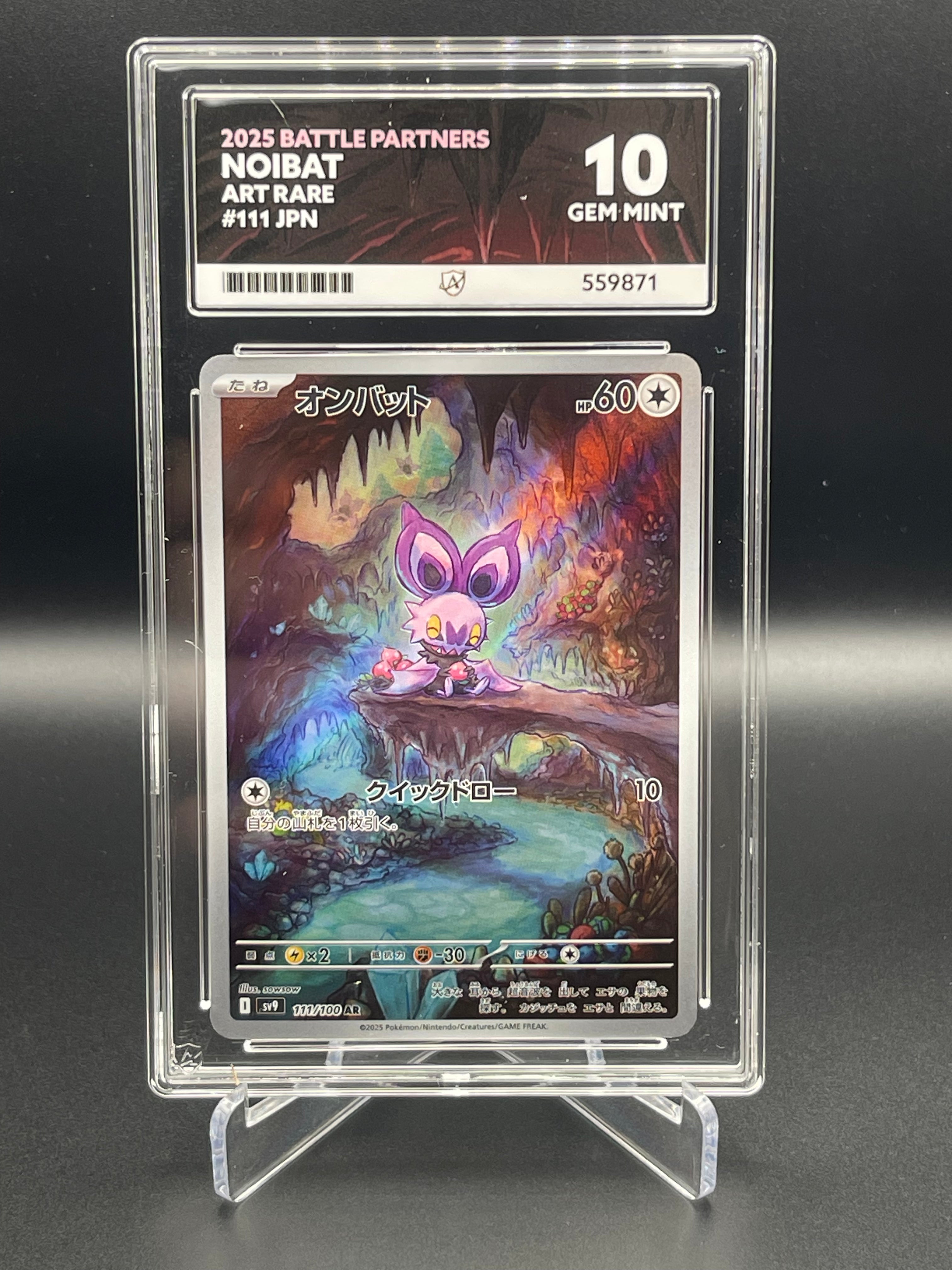 ACE GRADING 10 GEM MINT Noibat 111/100