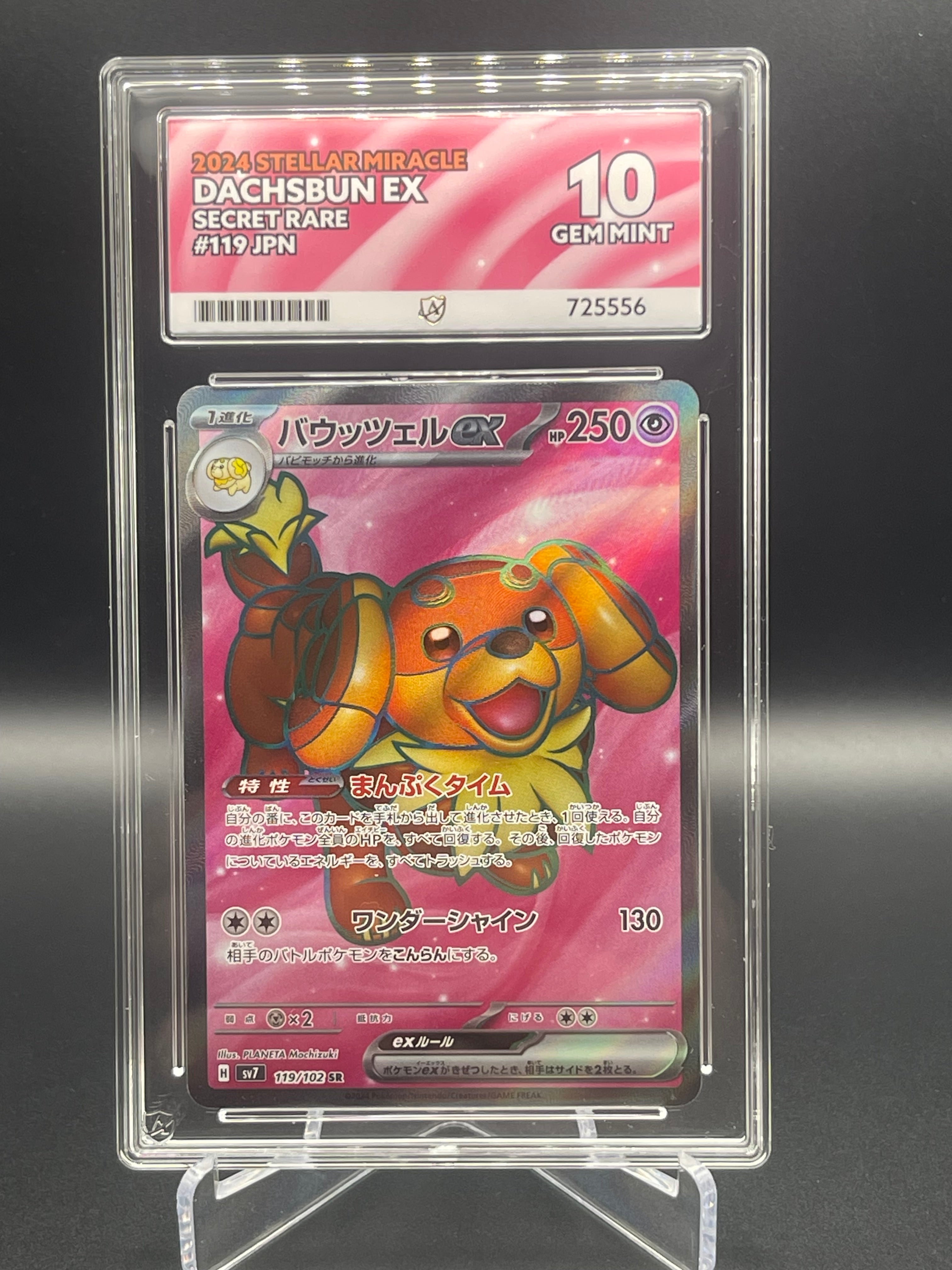 ACE GRADED 10 GEM MINT Dachsbun EX 119/102 SR Stellar Miracle