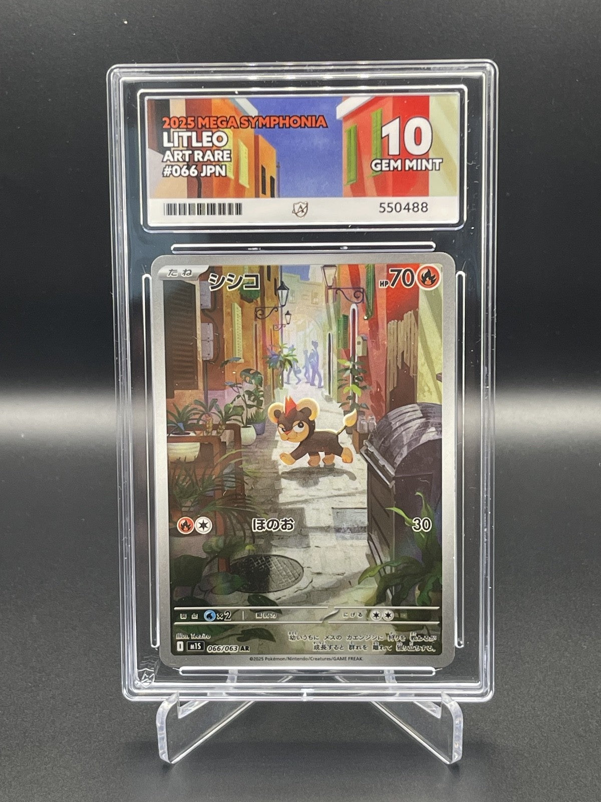 ACE GRADING 10 GEM MINT Litleo 066/063